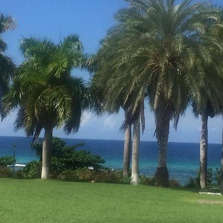 C'Daview Apartment Suite Montego Bay Exterior foto